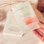 Peaceful Mama Cards - Bubba Bump