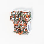 Baby Swim Nappy - Clementine - Bubba Bump