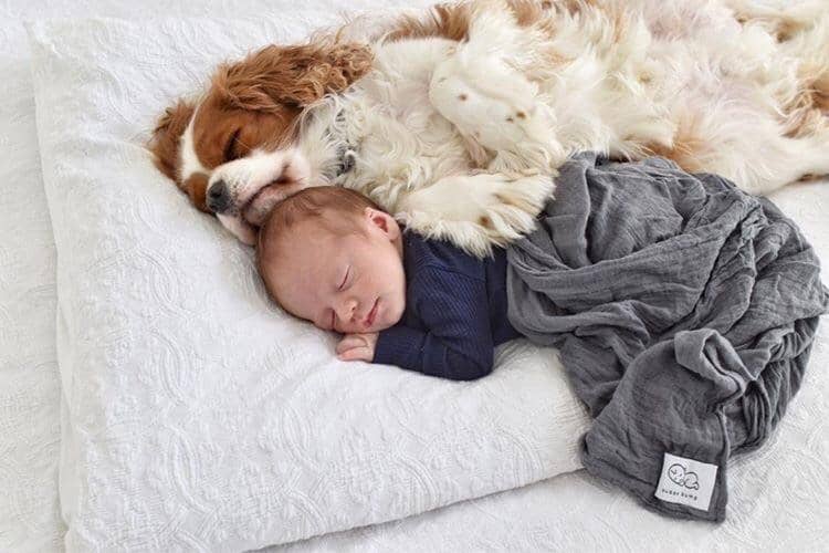 Dusk Bamboo Muslin Wrap - Bubba Bump