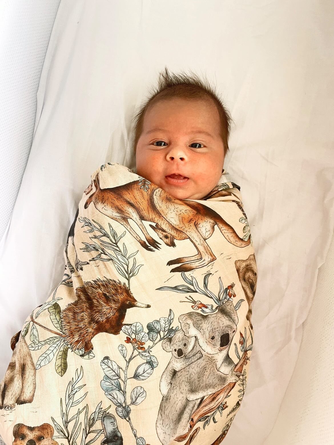 Australiana Bamboo Muslin Wrap - Bubba Bump